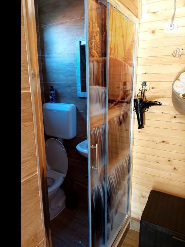 un bagno con wc e porta doccia in vetro di The Bungalows a Sarajevo