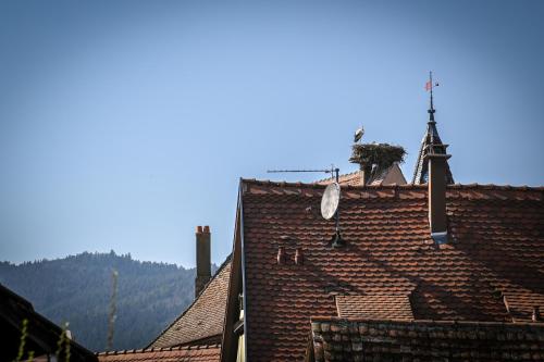 um telhado de um edifício com um campanário e uma cruz em Le Hameau d'Eguisheim - Chambres d'hôtes & Gîtes em Eguisheim