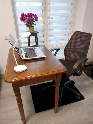 a desk with a laptop and a chair with flowers at Family Apartments Dorobok in Lviv