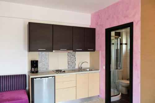 A kitchen or kitchenette at Dafni studios no2