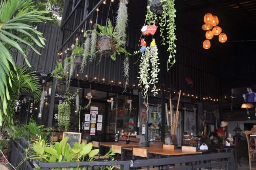 a restaurant with a bunch of plants hanging from the ceiling at Eat n Sleep in Phuket Town