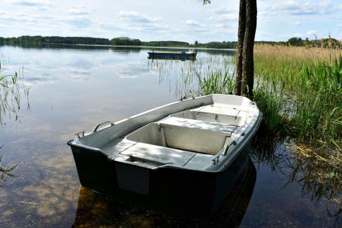 a boat sitting in the middle of a lake at Kaimukas - namelis prie ežero keturiems in Dvarčėnai