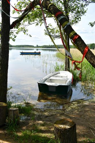 a boat tied to a tree on a lake at Kaimukas - namelis prie ežero keturiems in Dvarčėnai