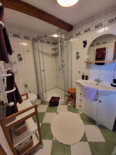 a bathroom with a shower toilet and a sink at Agroturystyka Łysa Góra in Jelenia Góra