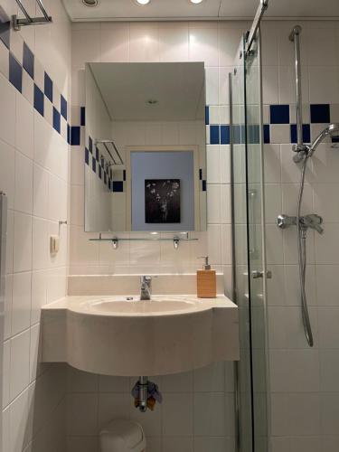 a bathroom with a sink and a shower with a mirror at Naturnahes, neu eingerichtetes Apartment mit 1 Schlafzimmer in Neu Gaarz