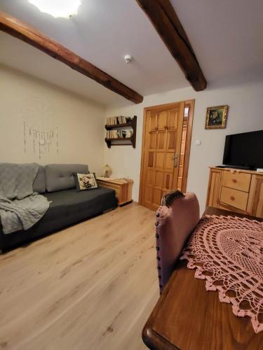 a living room with a couch and a tv at Agroturystyka Łysa Góra in Jelenia Góra