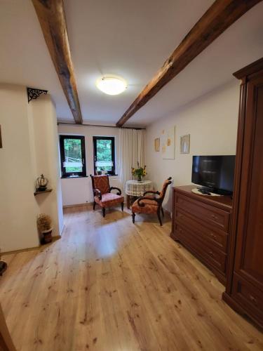 a living room with a wooden floor and a tv at Agroturystyka Łysa Góra in Jelenia Góra