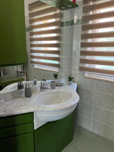 a bathroom with a white sink and green cabinets at Holiday Home Rosa in Gedići