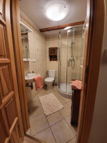a bathroom with a shower and a toilet and a sink at Agroturystyka Łysa Góra in Jelenia Góra