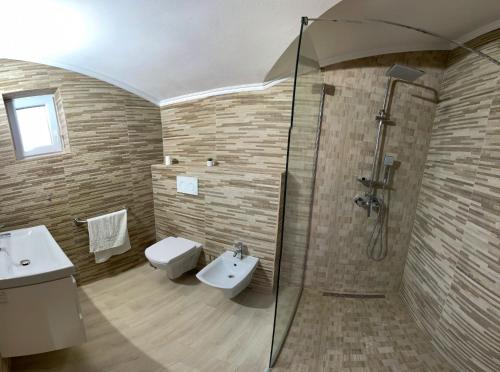 a bathroom with a shower and a sink and a toilet at Casa de la Baltă in Rieni