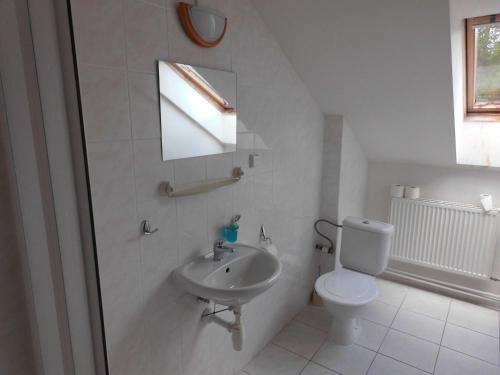 a white bathroom with a toilet and a sink at Penzion Kovářská in Kovářská