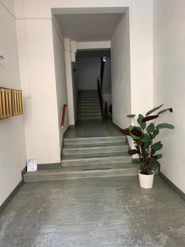 Pampero & Catona House – Photos 5