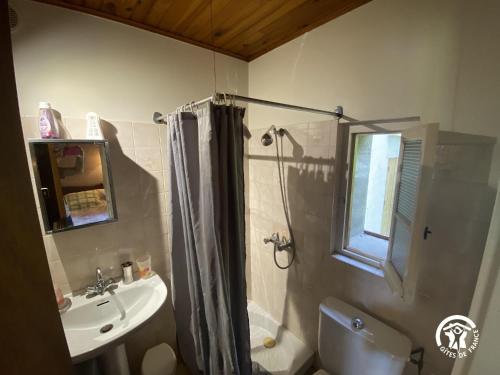 a bathroom with a shower and a sink and a toilet at Mas garrigole in Eus