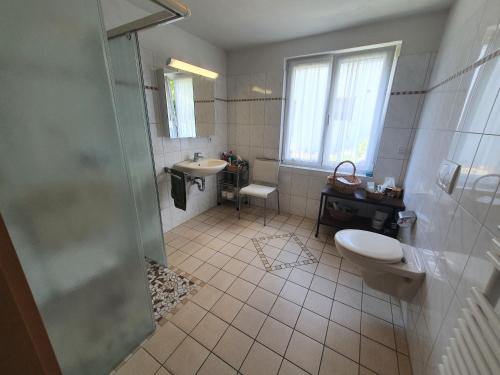 uma casa de banho com um chuveiro, um WC e um lavatório. em Klettgauperle - familien- und behindertengerechte Ferienwohnung em Griessen