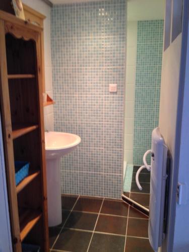 La petite salle de bains est pourvue d'un lavabo et d'une douche. dans l'établissement Charmant F1 avec terrasse et vue sur jardin arboré - fraicheur naturelle du rez de jardin - parking, à Bellerive-sur-Allier