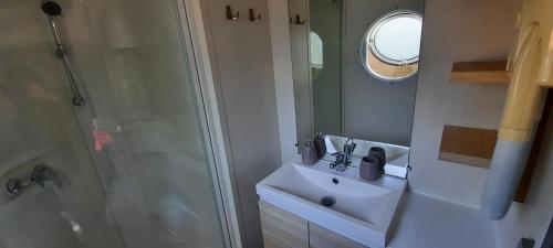 a bathroom with a sink and a shower at Mobil-Home 6 pers sur une grande parcelle, proche Paris camping 3 étoiles in Mirgaudon