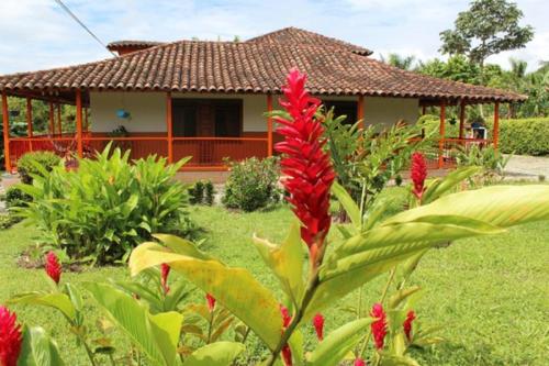 Gallery image of Hotel Campestre Los Tucanes in Armenia