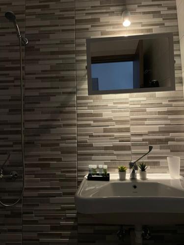 uma casa de banho com um lavatório, um chuveiro e um espelho. em Nigdeli Studios em Stavros