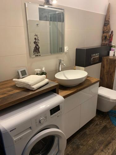 a bathroom with a washing machine and a sink at Apartament Awiator Gdańsk in Gdańsk