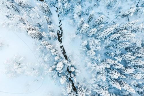 an aerial view of a snow covered forest with trees at Bel Air - Propriétés Mont Amour in Montriond