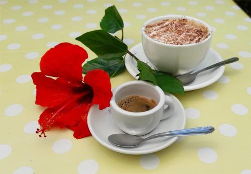 伊斯基亚B&B Villa Anna Wunderbar的桌子上放着两杯咖啡和一朵红花。