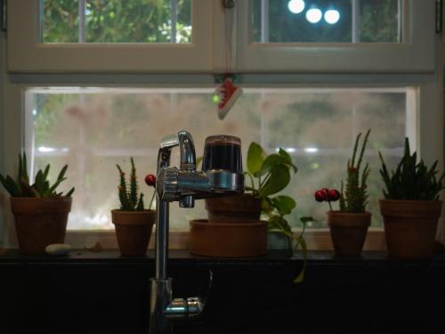 a kitchen sink with a faucet and potted plants at Olga's Cozy home in Monemvasia