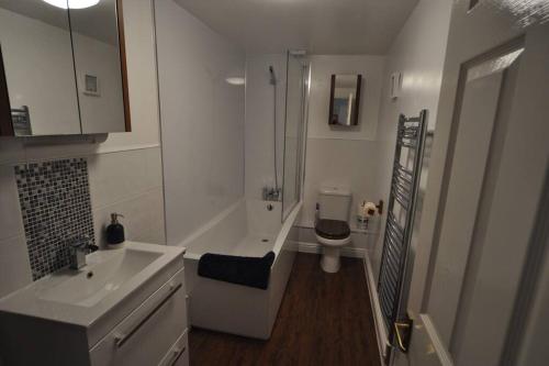 a bathroom with a sink and a toilet and a shower at Vista Apartments, Goodrington Beach, Paignton in Paignton