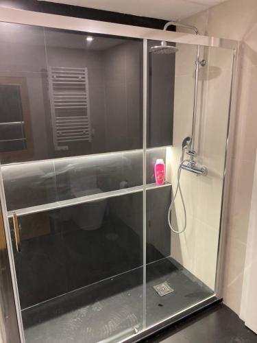 W łazience znajduje się prysznic ze szklanymi drzwiami. w obiekcie Altamira GB w mieście Estarreja