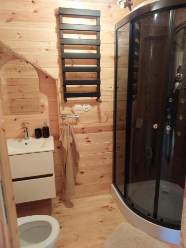 a bathroom with a shower and a toilet and a sink at Oaza spokoju in Ramsówko
