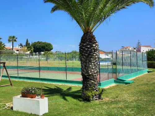 a palm tree in front of a tennis court at Armação De Pêra Brightness 2 With Pool by Homing in Armação de Pêra