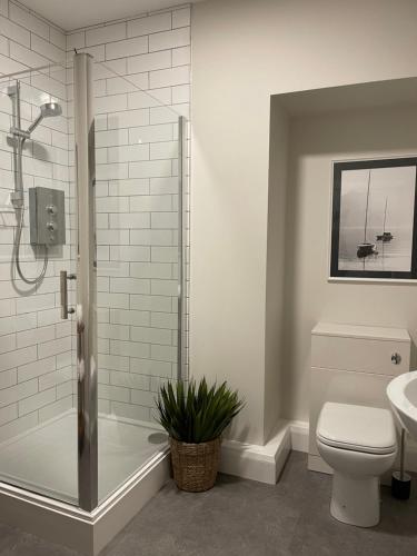 a bathroom with a shower and a toilet and a sink at John Lewis Apartment in Aberaeron