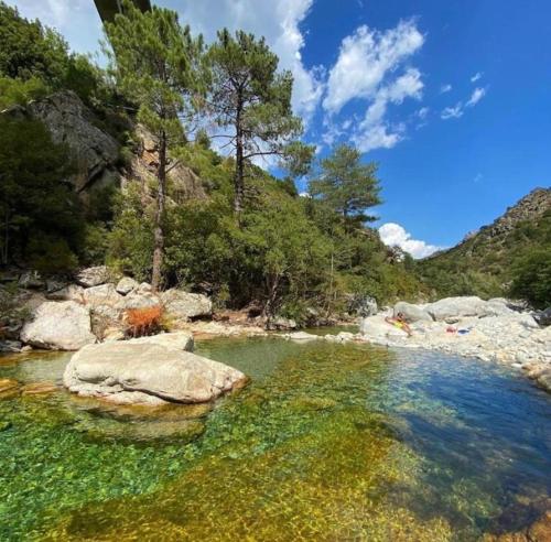 a body of water with some rocks and trees at Superbe appartement Corte in Corte