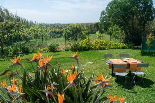 Gambar di galeri bagi Like-Home-T3 House-garden, sea view, beach di Casais de São Lourenço