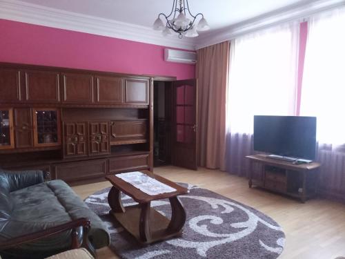 TV a/nebo společenská místnost v ubytování Knaus Apartments