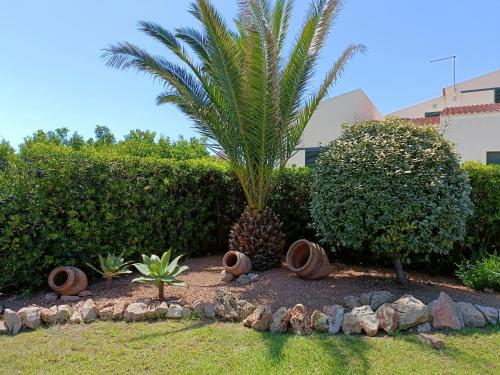 a garden with a palm tree and some rocks at VILLA VEGA RELAX EN EL PARAISO in Es Mercadal