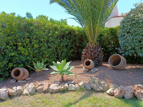 a garden with a pineapple and some plants and rocks at VILLA VEGA RELAX EN EL PARAISO in Es Mercadal