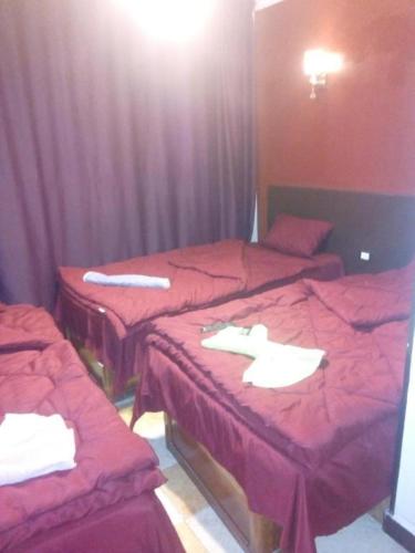 Elwahaa Downtown Hostel – Photos 3