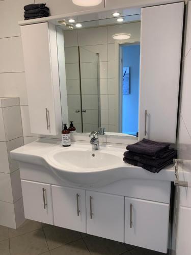 a bathroom with a white sink and a mirror at Notodden Sentrum Apartment NO 8 in Notodden
