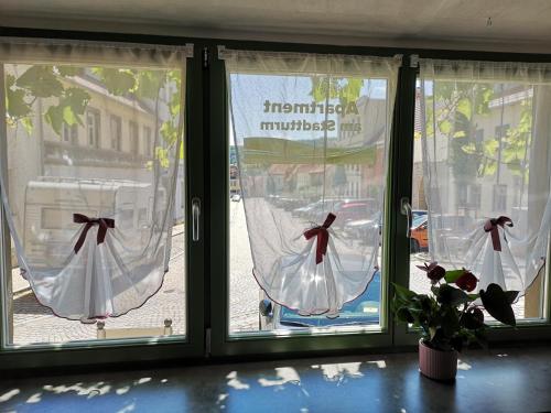 two windows with curtains and a potted plant in a room at Apartment am Stadtturm in Freyburg