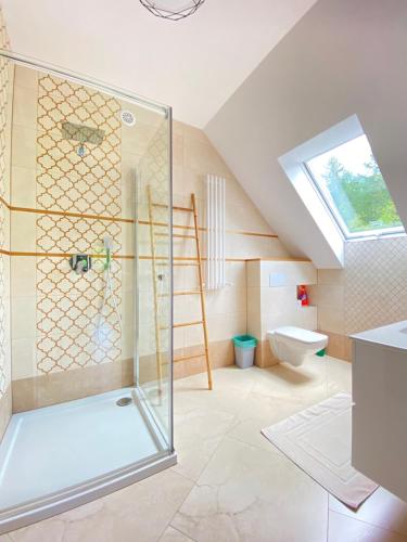 uma casa de banho com um chuveiro e um WC. em Apartament pod lipką em Lutowiska