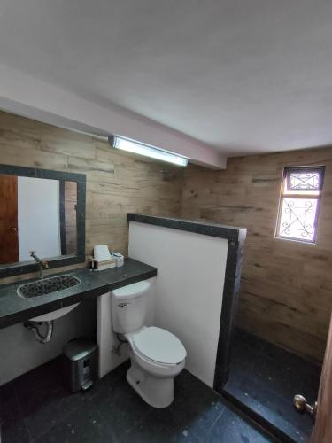 a bathroom with a toilet and a sink and a mirror at Hotel Hacienda Morales. in Guanajuato