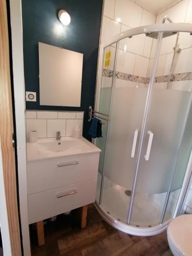 une salle de bain avec douche et lavabo dans l'établissement Le biez de la Fresnais, à La Fresnais