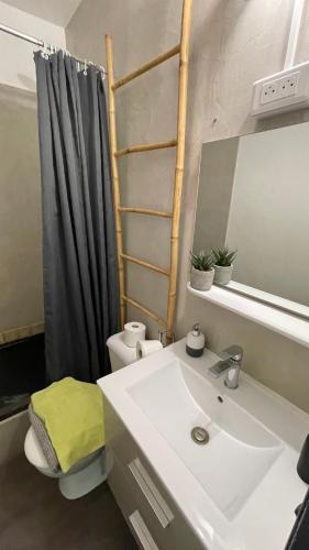 une salle de bain avec un lavabo, des toilettes et un miroir dans l'établissement Studio Cocooning hauteur de Saint-Raphaël, à Saint-Raphaël