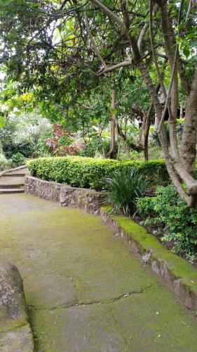 a garden with a stone path and trees and plants at Meru Mbega Lodge in Usa River