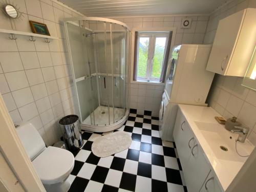 W łazience znajduje się prysznic, toaleta i umywalka. w obiekcie Wilderness House w mieście Urda