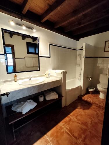 a bathroom with a sink and a toilet and a mirror at Hotel Casona D'Alevia in Alevia