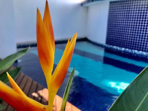Recanto das Andorinhas Studios – Photos 3