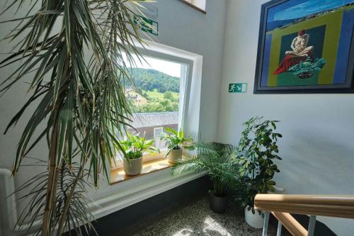 a window with potted plants in a room at Prenočišča Miklavčič in Nova Vas