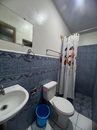a bathroom with a white toilet and a sink at Hostal tortuga viajera in Moyogalpa