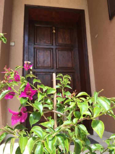 a wooden door with a plant in front of it at Стаи за гости Димитрови in Burgas City